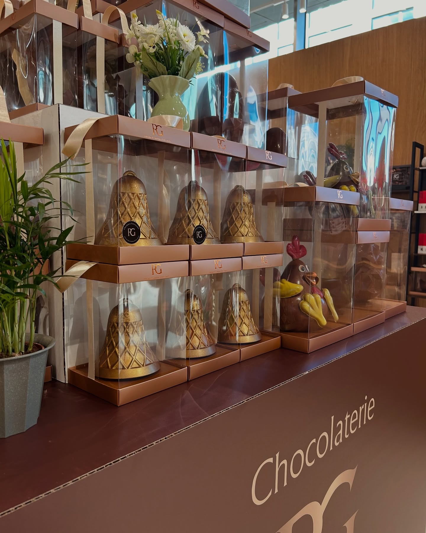 Vitrine chocolats RG